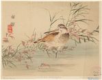 Image ID 821449