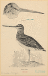Image ID 821452