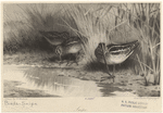 Image ID 821453