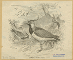 Image ID 821465