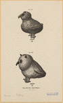 Image ID 821467