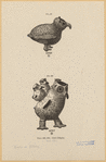 Image ID 821468