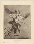 Image ID 821470