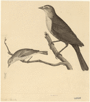Image ID 821471