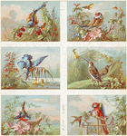 Image ID 821476