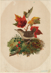Image ID 821477