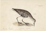 Image ID 821478