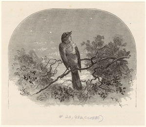 Image ID 821484