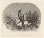 Image ID 821484