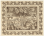 Image ID 821486