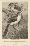 Image ID 821489