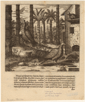 Image ID 821490