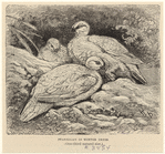 Image ID 821491