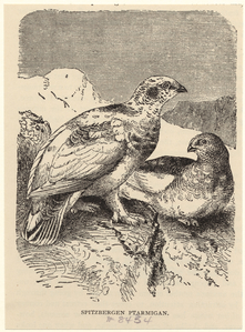 Image ID 821492