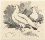 Image ID 821493
