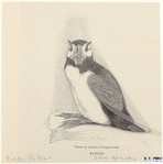 Image ID 821494