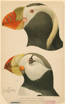 Image ID 821499