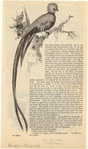 Image ID 821500