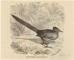 Image ID 821501