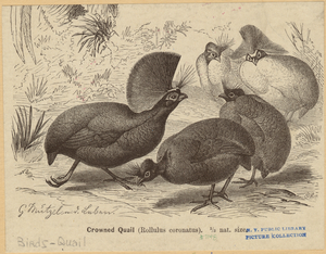 Image ID 821503