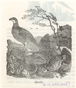 Image ID 821506