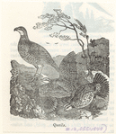 Image ID 821506