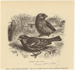 Image ID 821519
