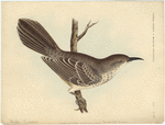 Image ID 821521