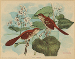 Image ID 821525
