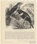 Image ID 821530