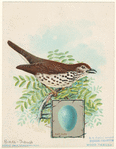 Image ID 821532