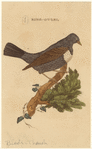Image ID 821533