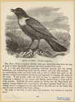 Image ID 821535