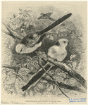 Image ID 821536