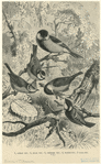 Image ID 821537