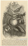 Image ID 821538