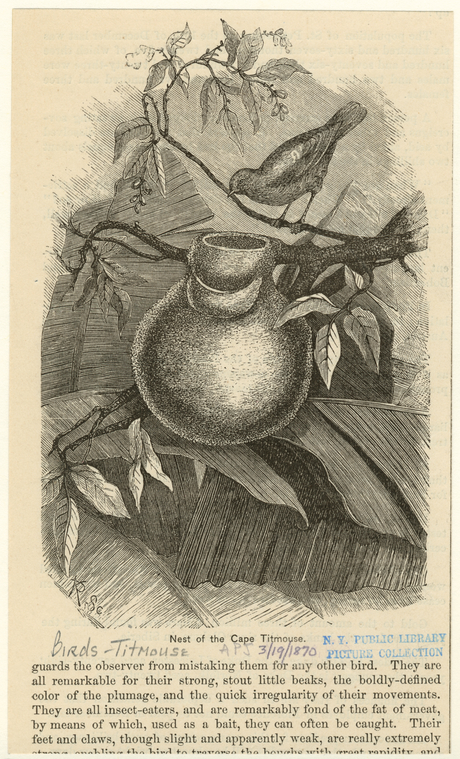 Image ID 821538
