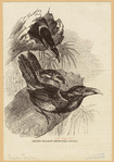 Image ID 821545