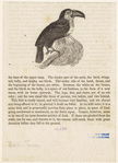 Image ID 821546
