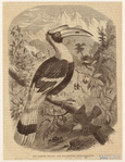 Image ID 821547