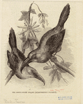 Image ID 821548