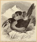 Image ID 821549