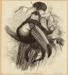 Image ID 821550