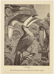 Image ID 821552