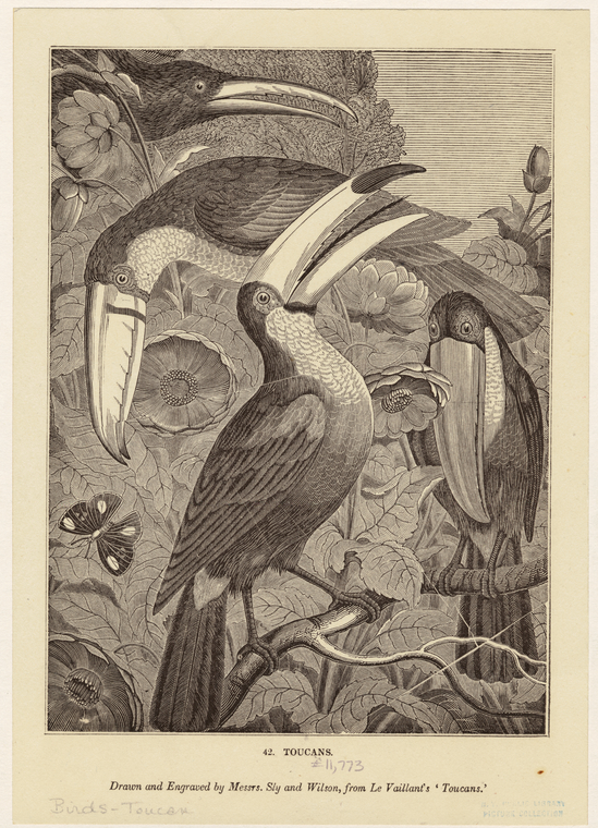 Image ID 821552

