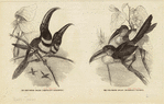 Image ID 821555