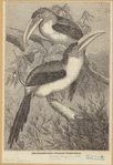 Image ID 821556