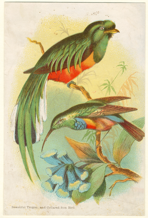 Image ID 821557
