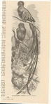 Image ID 821558