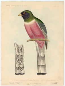 Image ID 821559